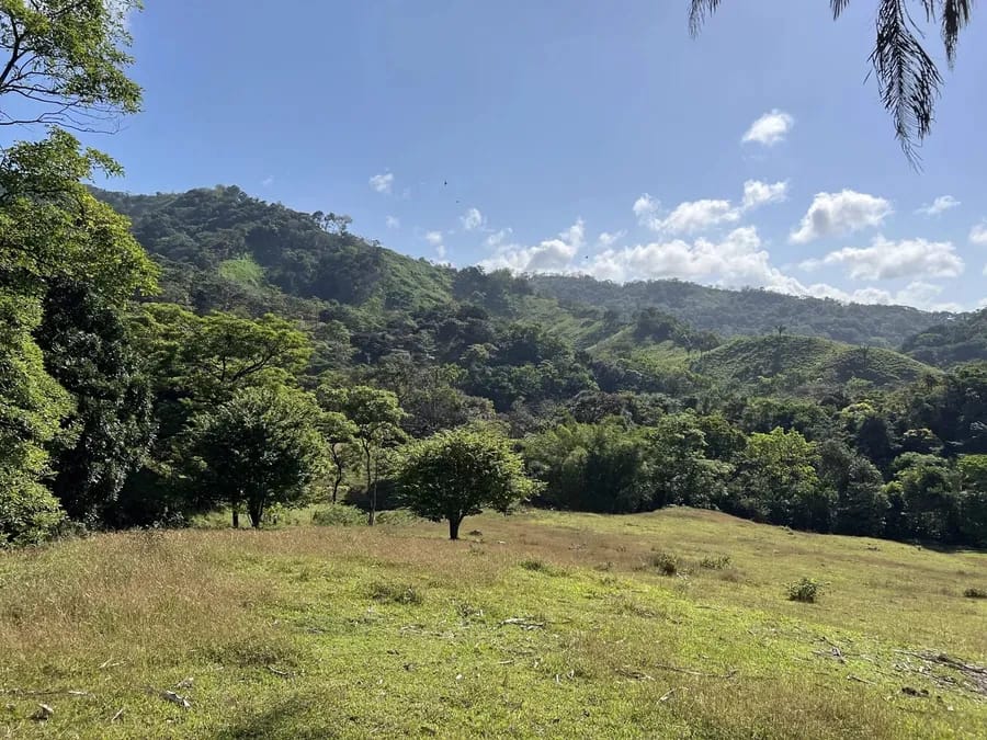 Río Mamoní